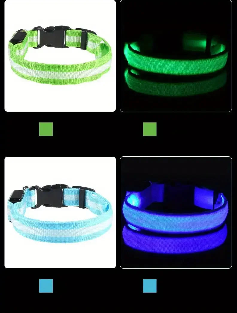 Coleira LED luminosa para cães da Gleff, com luz fluorescente para segurança noturna e visibilidade durante passeios noturnos.
